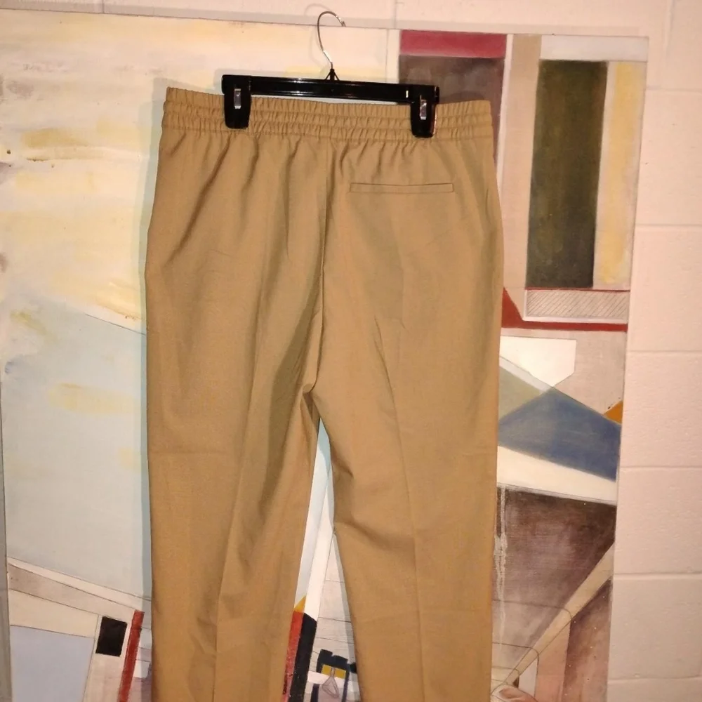 Mens Banana Republic Tapered Fit Drawstring Dress Pants - Tan/Khaki - Large